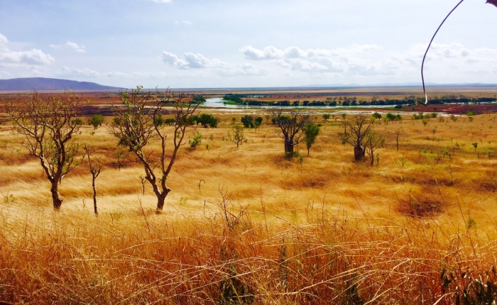 Indulge me: 2016 in a&nbsp;nutshell